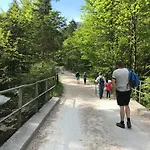 Wagnermoosgut Alloggio per agriturismo *